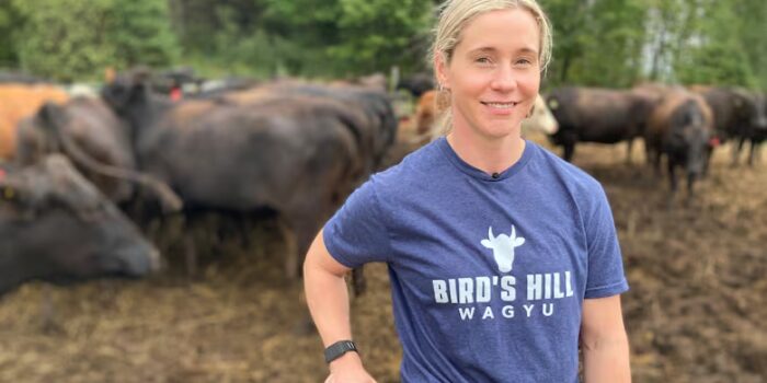 This N.B. farmer’s got beef that she can’t ship to customers who want it